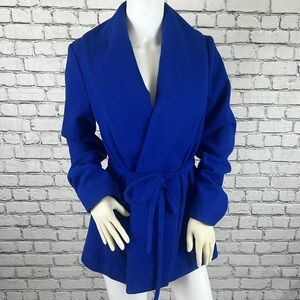 NWT Stunning Blue Pea Coat